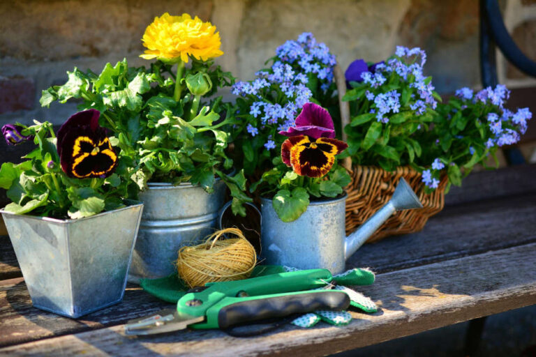 Gardening Services